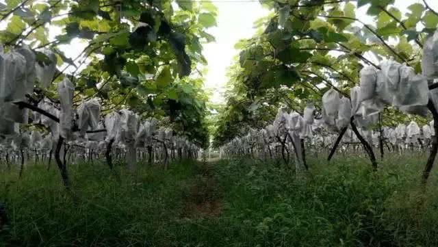 在阜阳,有这样一个地方